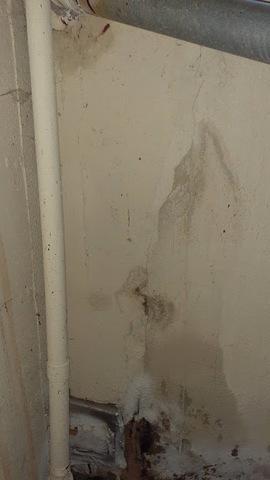 Crack in Waterford, MI Basement Wall