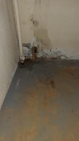 Water Leaking into Basement in Waterford, MI