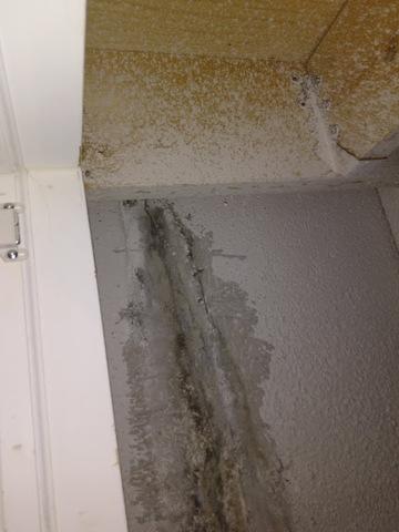 Previously Patched Crack Leaking in Belleville, Mi