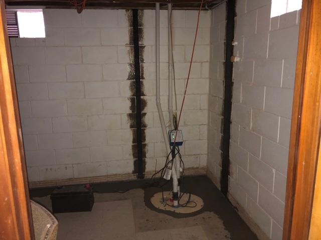 TripleSafe™ Sump Pump and WaterGuard® System Work Together