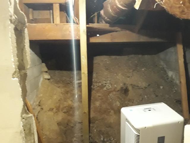 Dehumidifier in Crawl Space