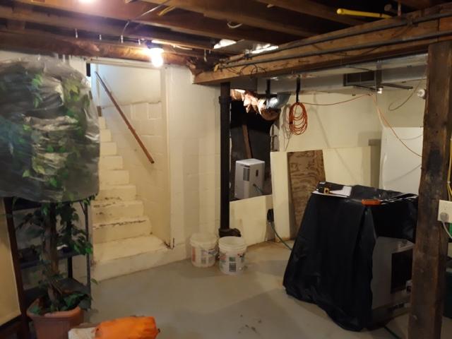 Grand Rapids, MN Basement