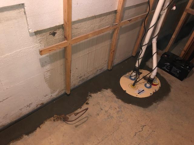 TripleSafe™ Sump Pump in Cloquet, MN