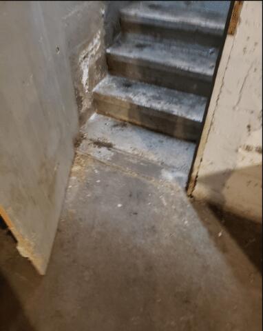 Entrance to the Basement