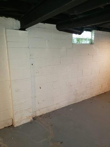 Visible Water Damage to Basement in Royal Oak, MI