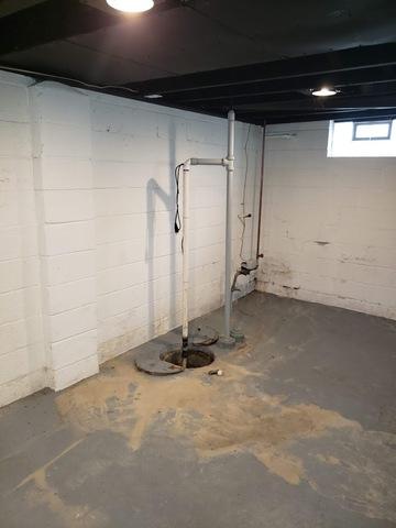 Failing Sump Pump in Royal Oak, MI