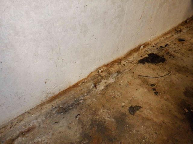 Basement Crack Repair in Everett, WA