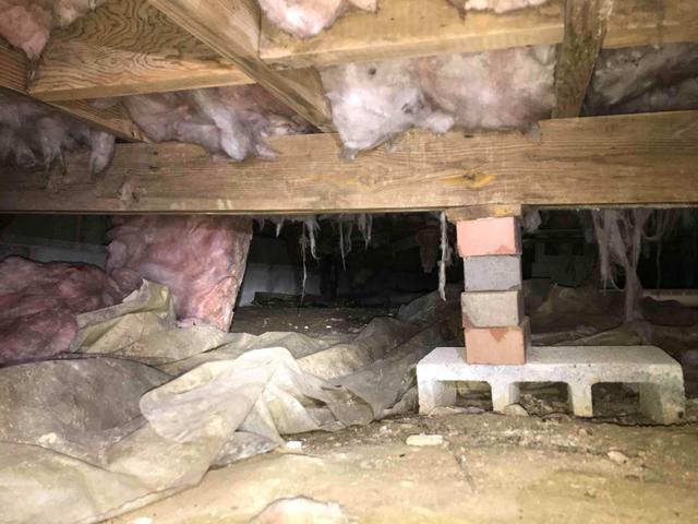 Ruined Insulation and Bowing Floor