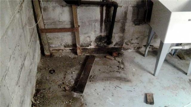 Water Damaged Basement