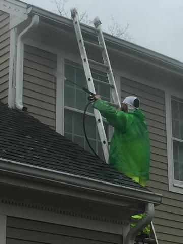 Pressure Washing in Progress