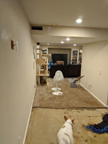 Water Damaged Basement