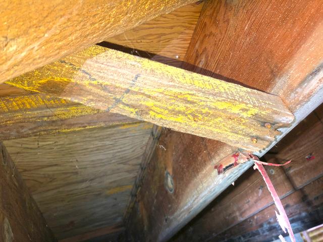 We spotted mold throughout the joists in the crawl space. There was certainly a humidity issue in the crawl space which was the conducive condition that caused the mold growth.