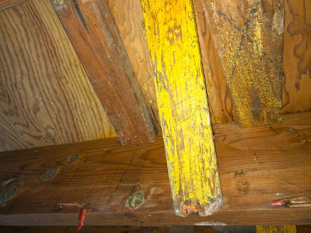 Remediate the Mold