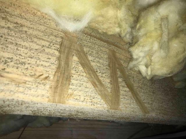 Moldy Floor Joists