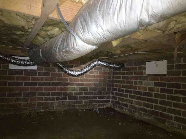 Exposed Ground and Brick Wall Water Seepage
