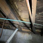Mold