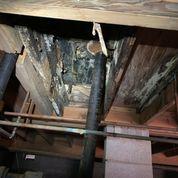 Wood Deformation and Decay