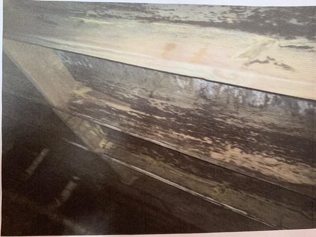 Wood Deformation and Decay