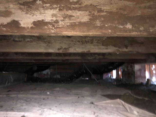 This crawl space has a major moisture problem, and mold and mildew have grown on to the wooden joists and girders. Mold spores will grow on any organic materials within the crawl space, so long as the relative humidity is above 60%, and the temperature is above 70 degrees Fahrenheit. Mold will give off a musty odor that will rise into the floors above, and the spores that find their way up into the home can irritate those with allergies and can cause asthma from prolonged exposure.