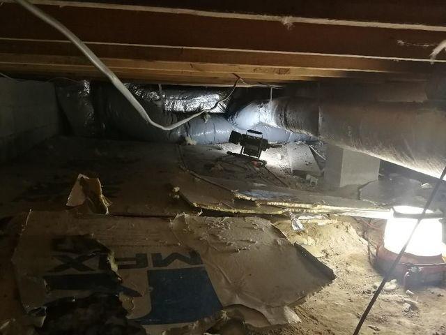 Working in a small, messy crawl space