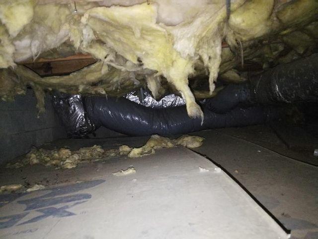 Working in a small, messy crawl space