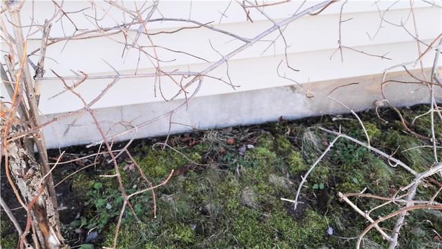 Wet Spot on Home Exterior