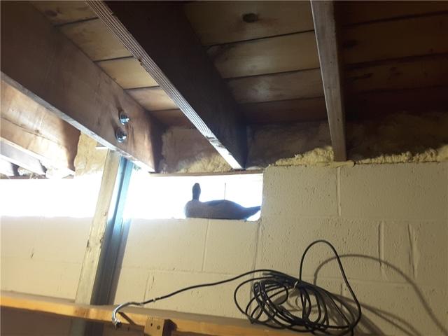 Spray Foam to Protect Windows
