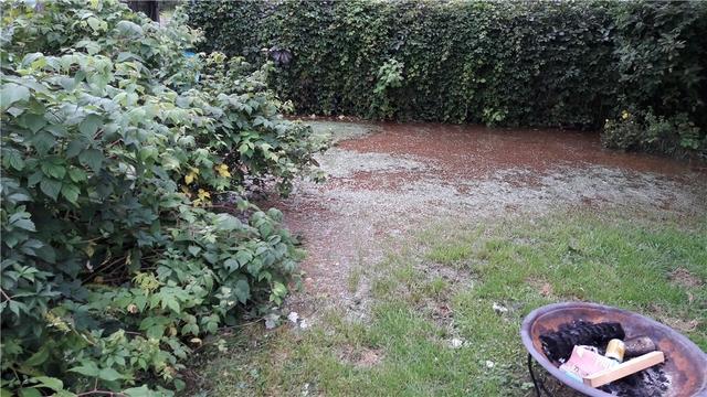 Iron Ochre Deposited on Lawn