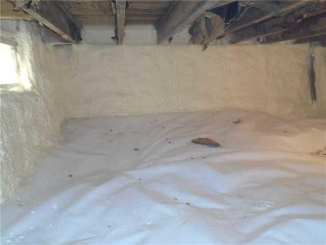 CleanSpace® and Spray Foam