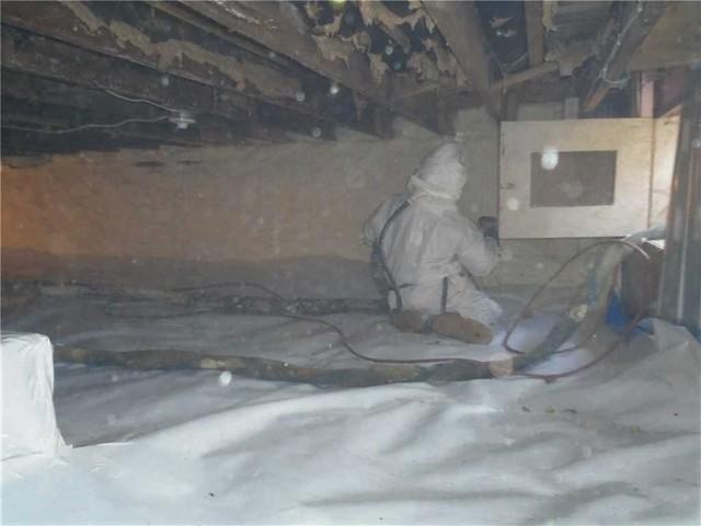 Spray Foam