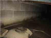 Water & Mold in Crawl Space