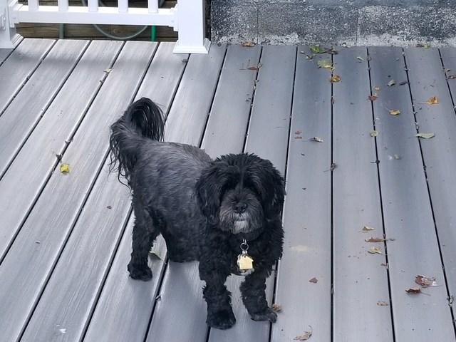 He thinks it's his new deck