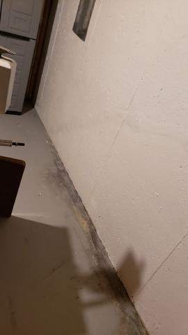 Water Damaged Basement