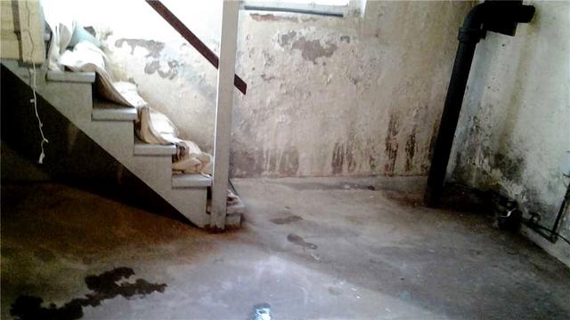 Damp, Moldy Basements