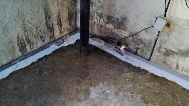 WaterGuard Drainage System