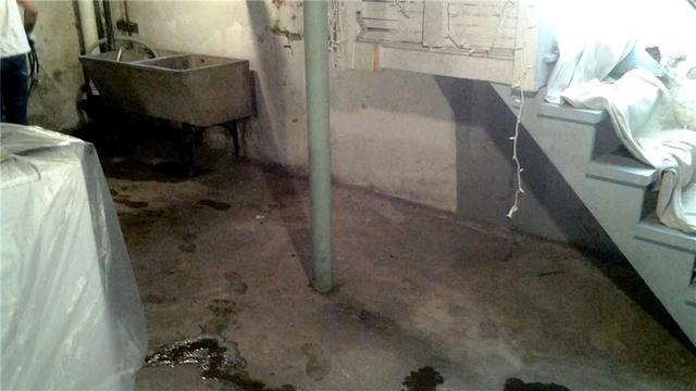 Puddles in the Basement