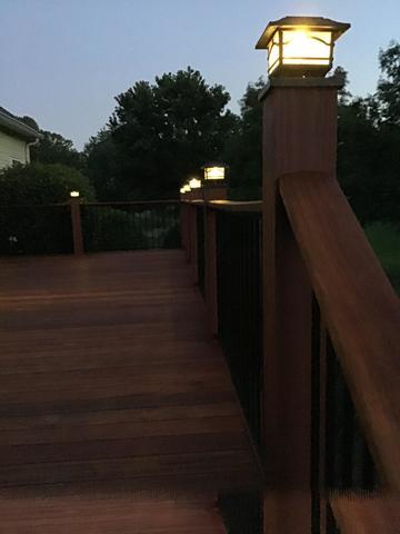 Evening Lights