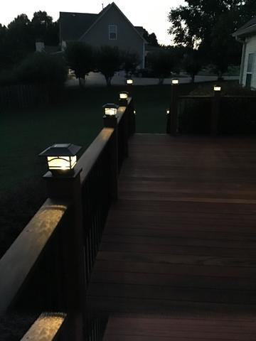 Evening Lights