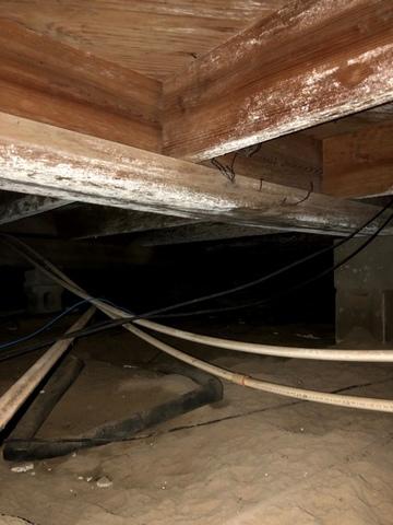 Whether it's from standing water after a rainstorm or just the dirt floor, evaporating moisture can damage wood and insulation and eventually make its way into your home. Mold in the crawl space and upstairs living areas is a common problem caused by excess moisture