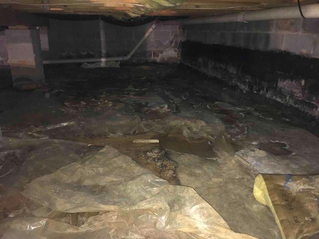 There was standing water in the crawlspace from flooding.