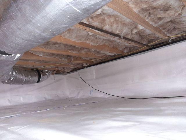 CleanSpace Liner