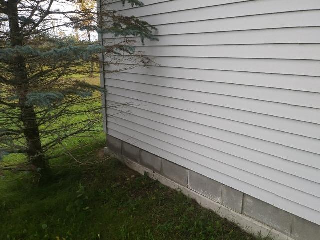 Movement In Foundation
