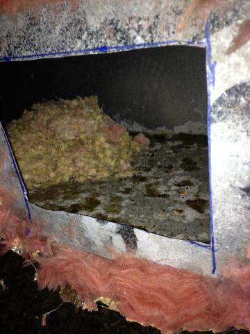 Dirty Crawl Spaces Mean Dirty Ducts