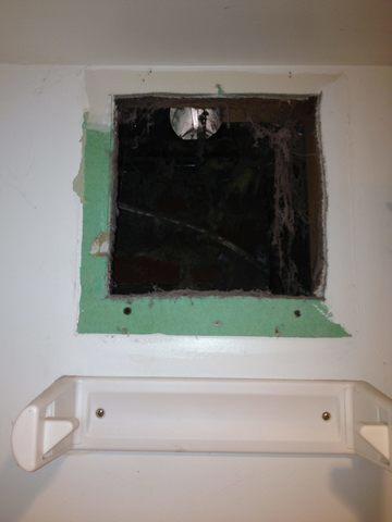 Problematic Dryer Vent
