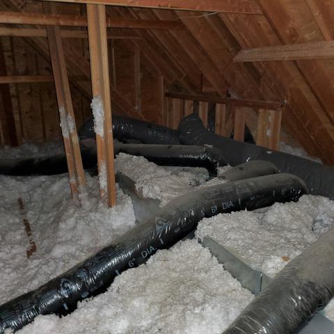 Old Insulation