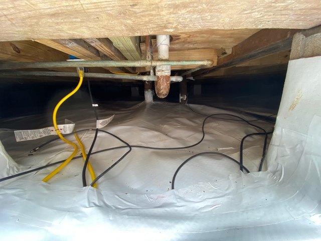 Eliminates insect infestation