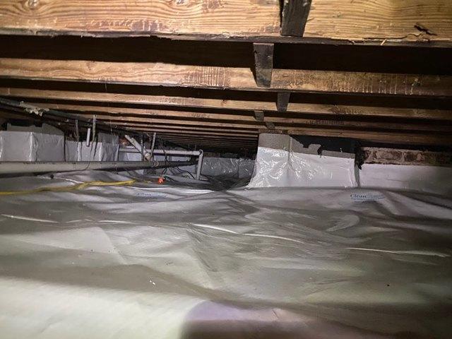 Increases healthy living conditions