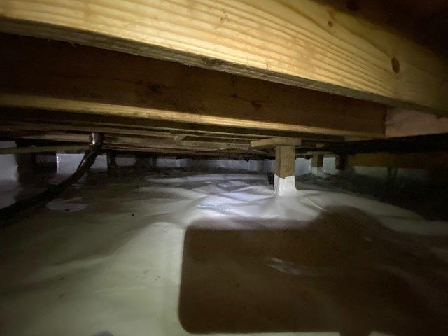 Prevents mold and mildew issues