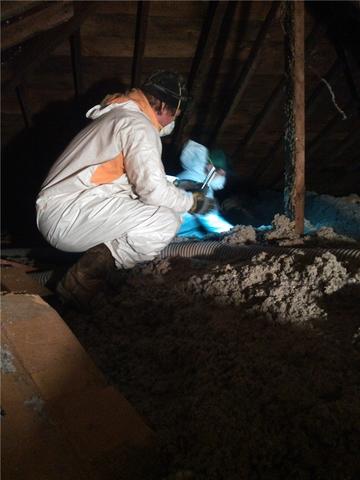 Removing Insulation