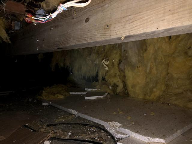 The condition of the bare walls.